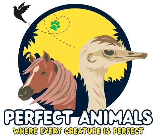 Perfect Animals site logo