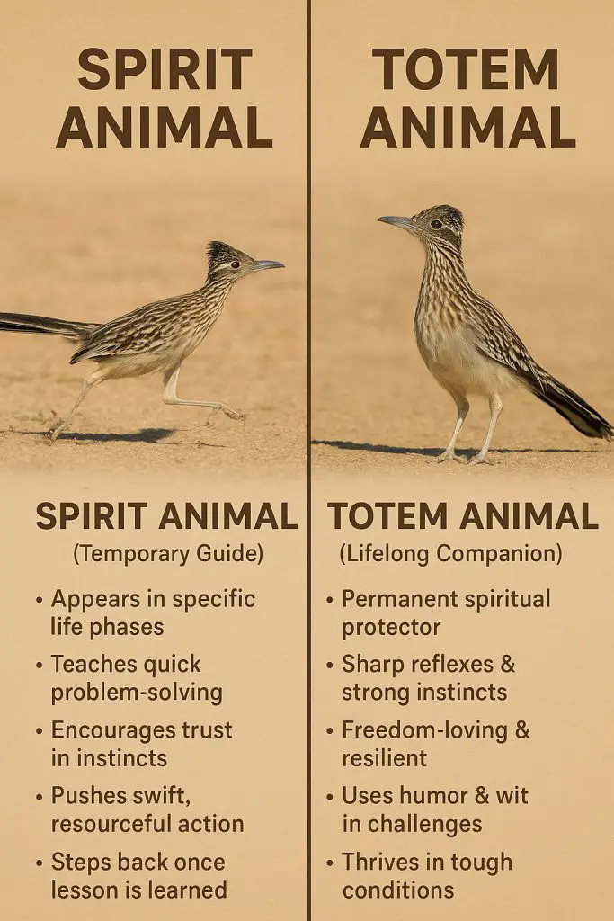 Roadrunner as a Spirit Animal Versus a Totem Animal