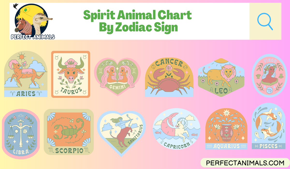 Spirit-Animal-Chart-By-Zodiac-Sig
