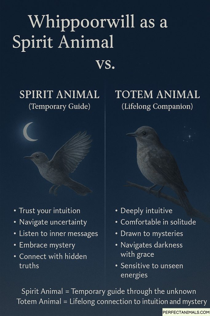 Whippoorwill as a Spirit Animal Versus a Totem Animal